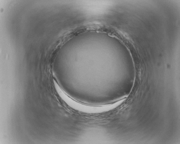 X0000058131445200510212034