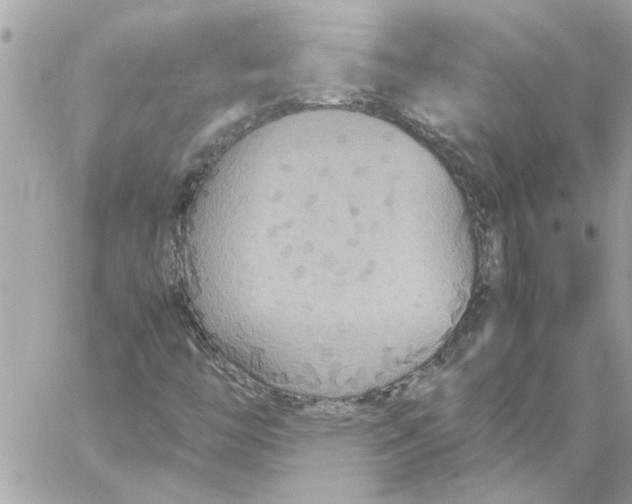 X0000058131446200510212034