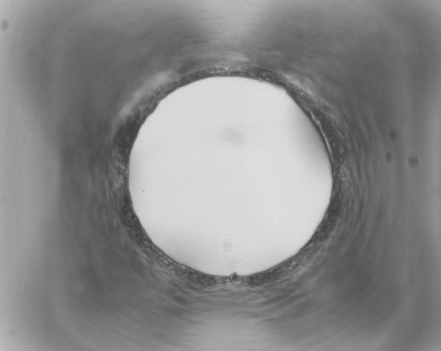 X0000058131447200510212034