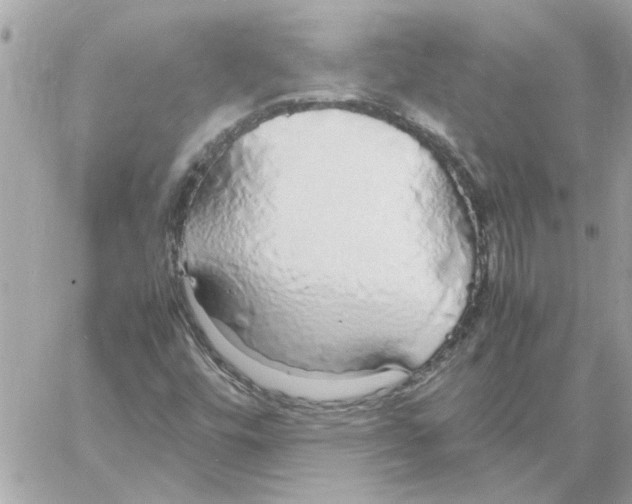 X0000058131448200510212034