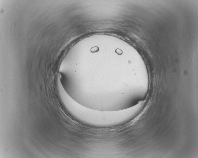 X0000058131449200510212034