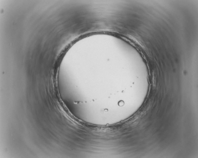 X0000058131452200510212034