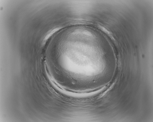 X0000058131453200510212034