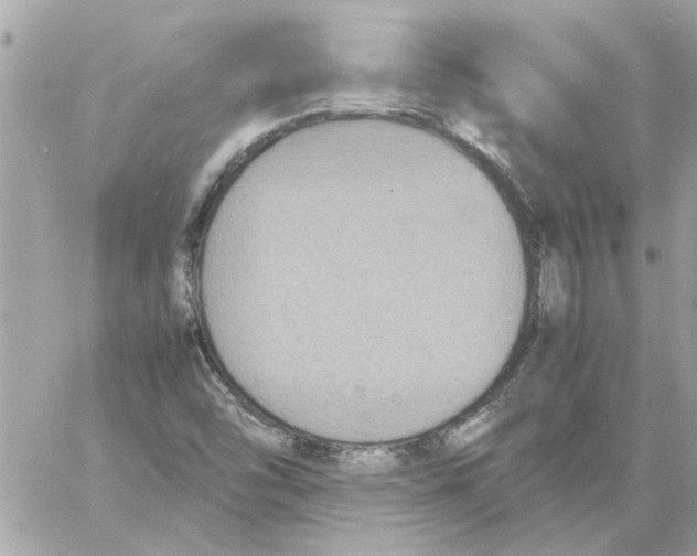 X0000058131454200510212033