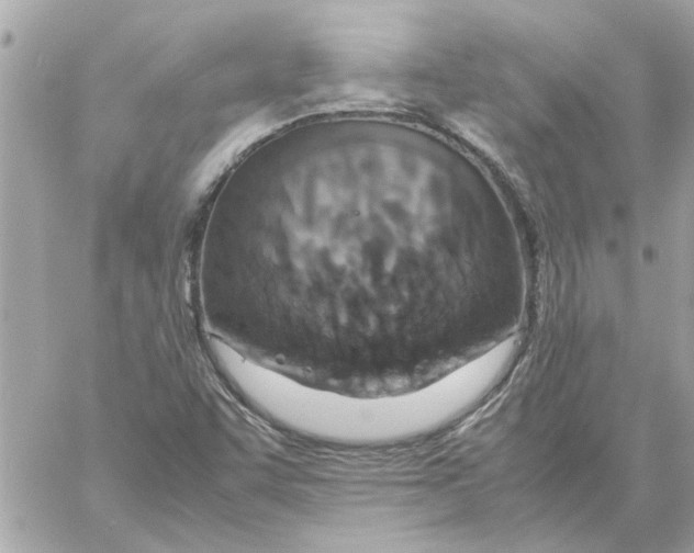 X0000058131455200510212033