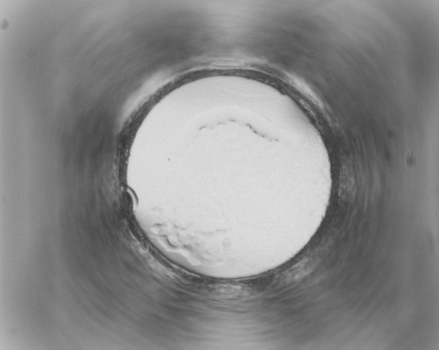 X0000058131456200510212033