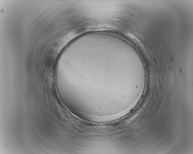 X0000058131457200510212033