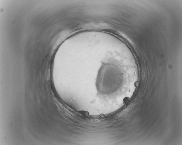 X0000058131459200510212033