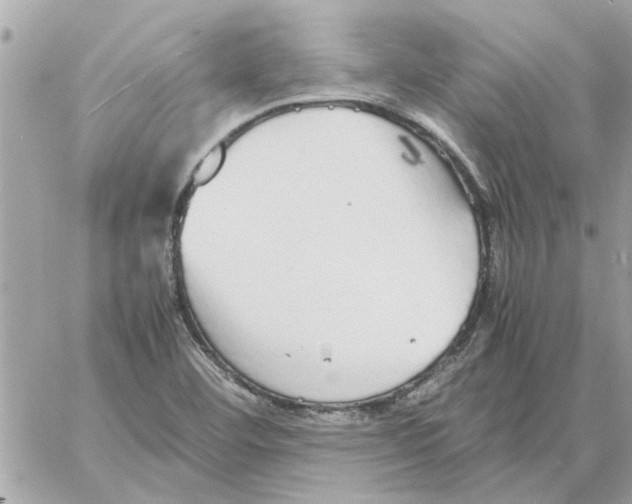 X0000058131460200510212033