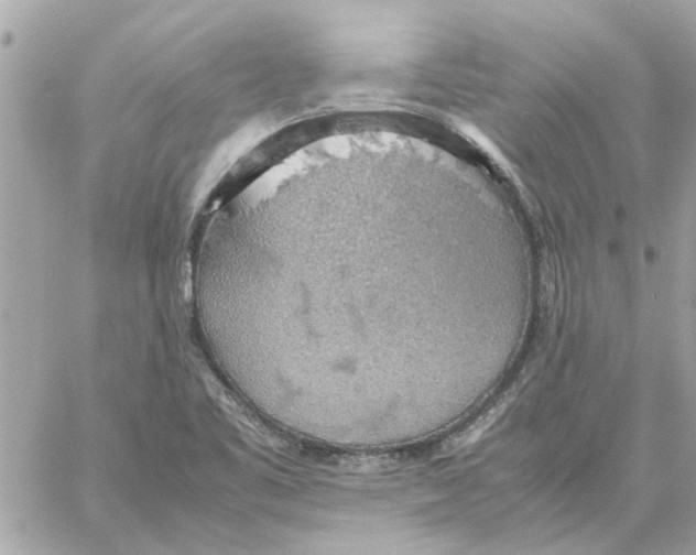 X0000058131461200510212033