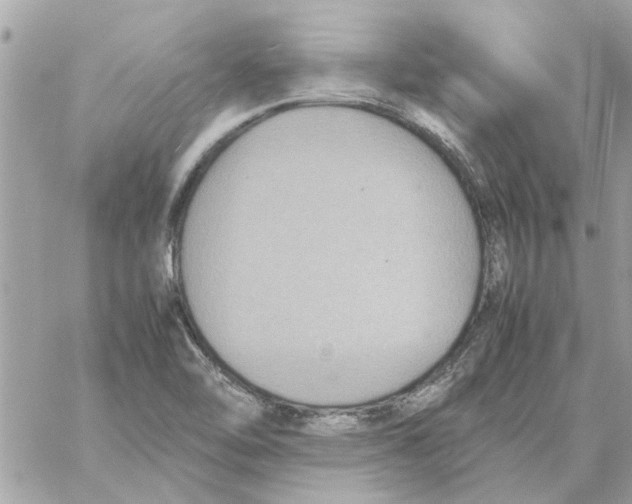 X0000058131462200510212033