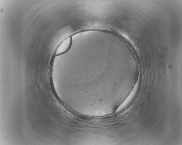 X0000058131463200510212033