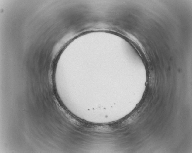 X0000058131464200510212033