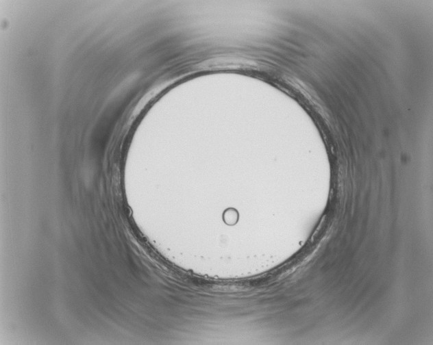 X0000058131465200510212033