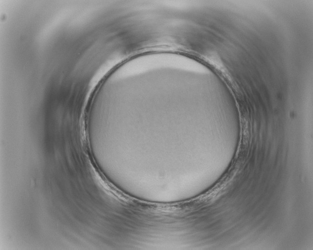 X0000058131466200510212033