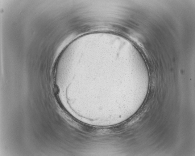 X0000058131467200510212033