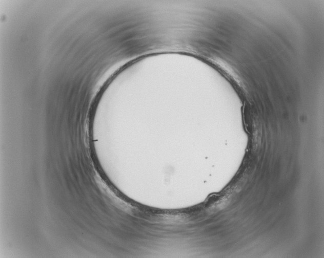 X0000058131468200510212033