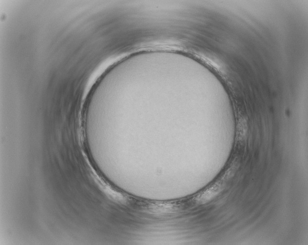 X0000058131470200510212033