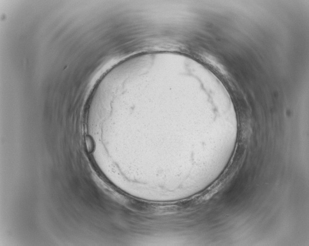 X0000058131471200510212033