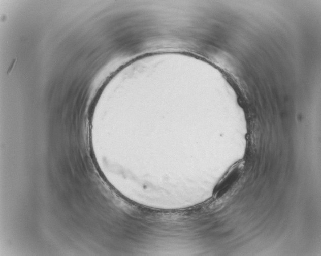 X0000058131472200510212033