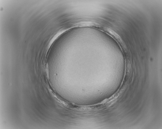 X0000058131473200510212033