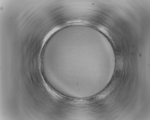 X0000058131474200510212033