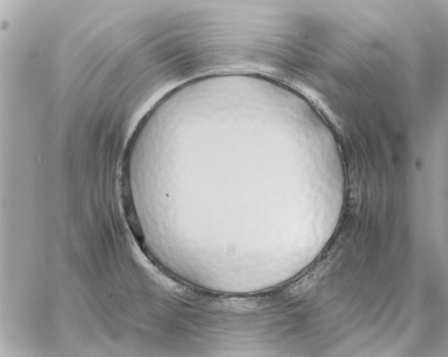 X0000058131476200510212033