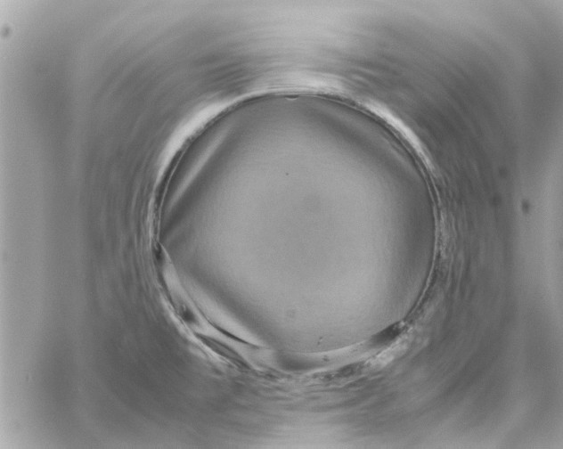 X0000058131477200510212033