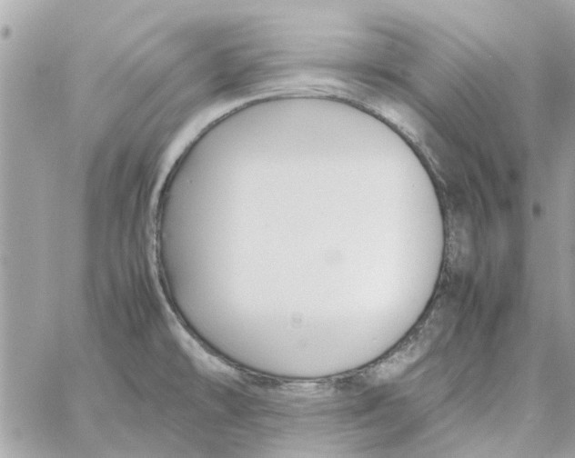 X0000058131478200510212033