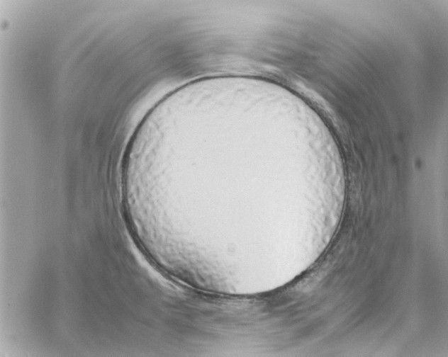 X0000058131479200510212033