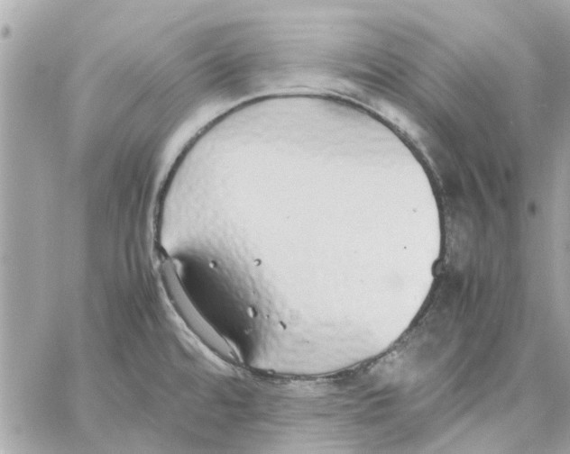 X0000058131480200510212033