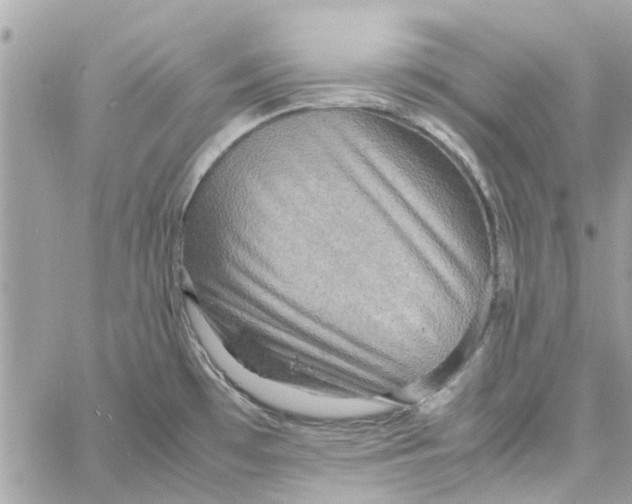 X0000058131481200510212033