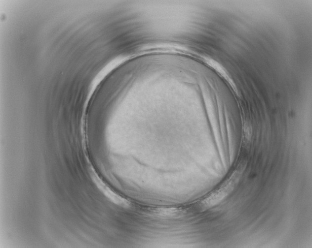 X0000058131482200510212033