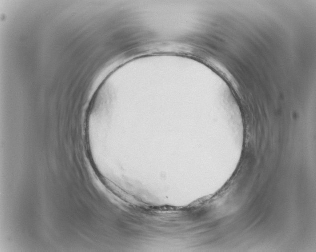 X0000058131483200510212033