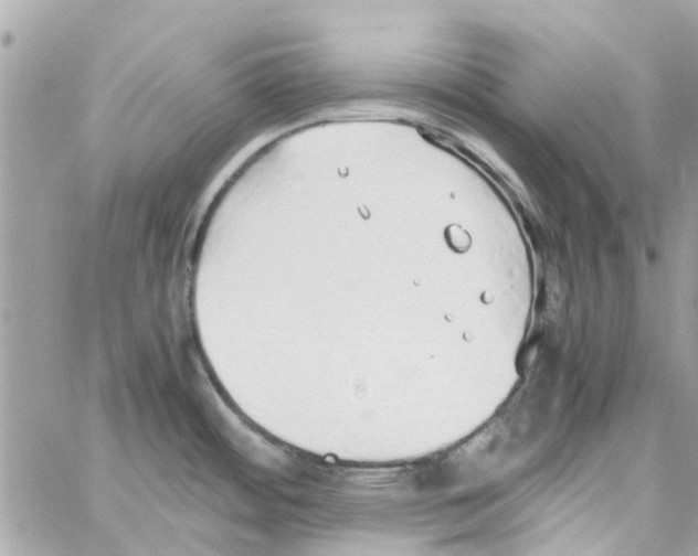 X0000058131484200510212033