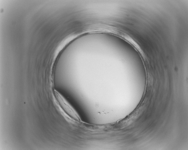 X0000058131485200510212033