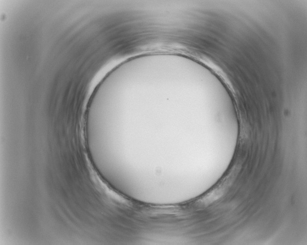 X0000058131486200510212033