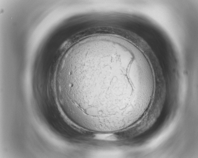 X0000058131487200510212033