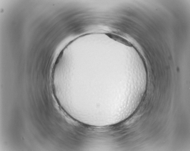 X0000058131488200510212033