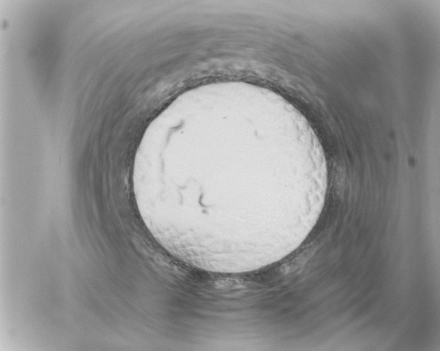 X0000058131489200510212032