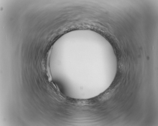 X0000058131490200510212032