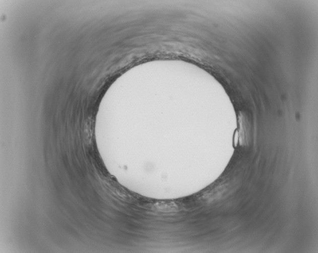 X0000058131491200510212032