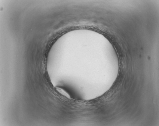 X0000058131493200510212032