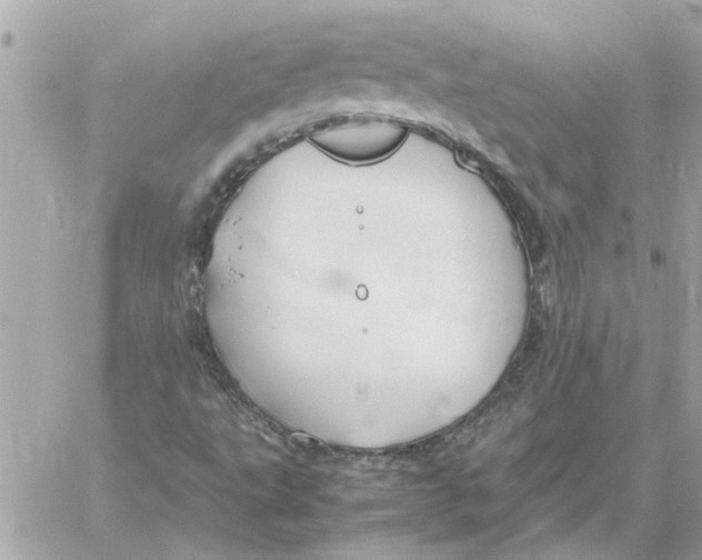 X0000058131495200510212032