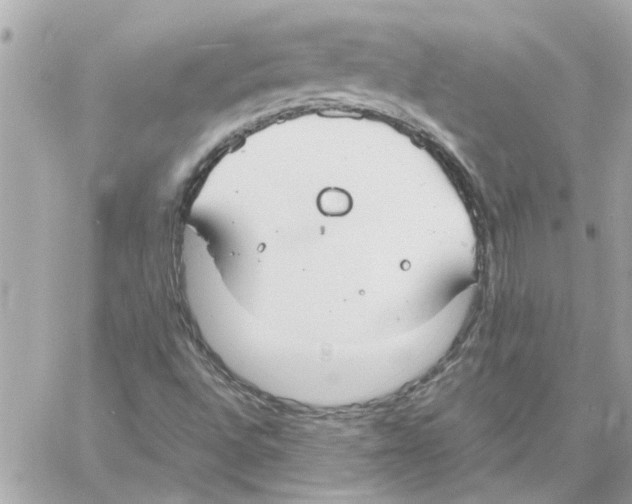 X0000058131496200510212032