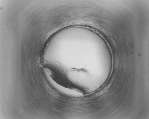 X0000058131497200510212032