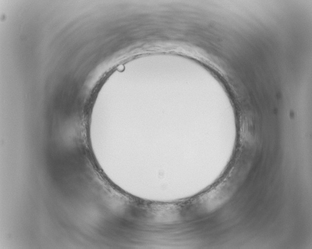 X0000058131498200510212032