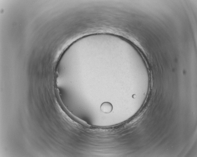 X0000058131500200510212032