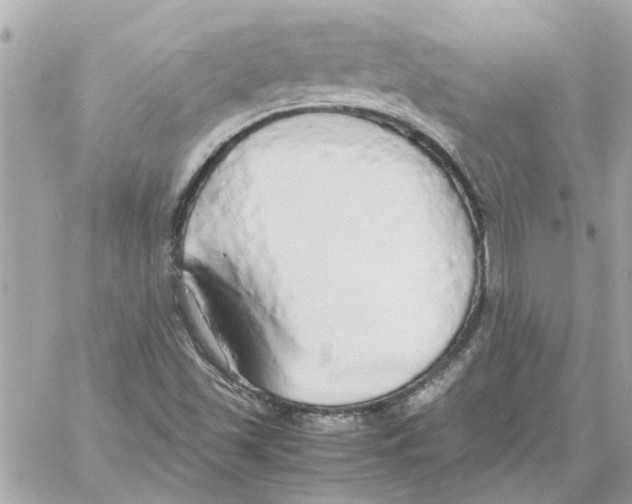 X0000058131501200510212032