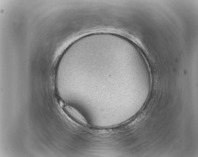 X0000058131504200510212032